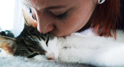 тъжна котка