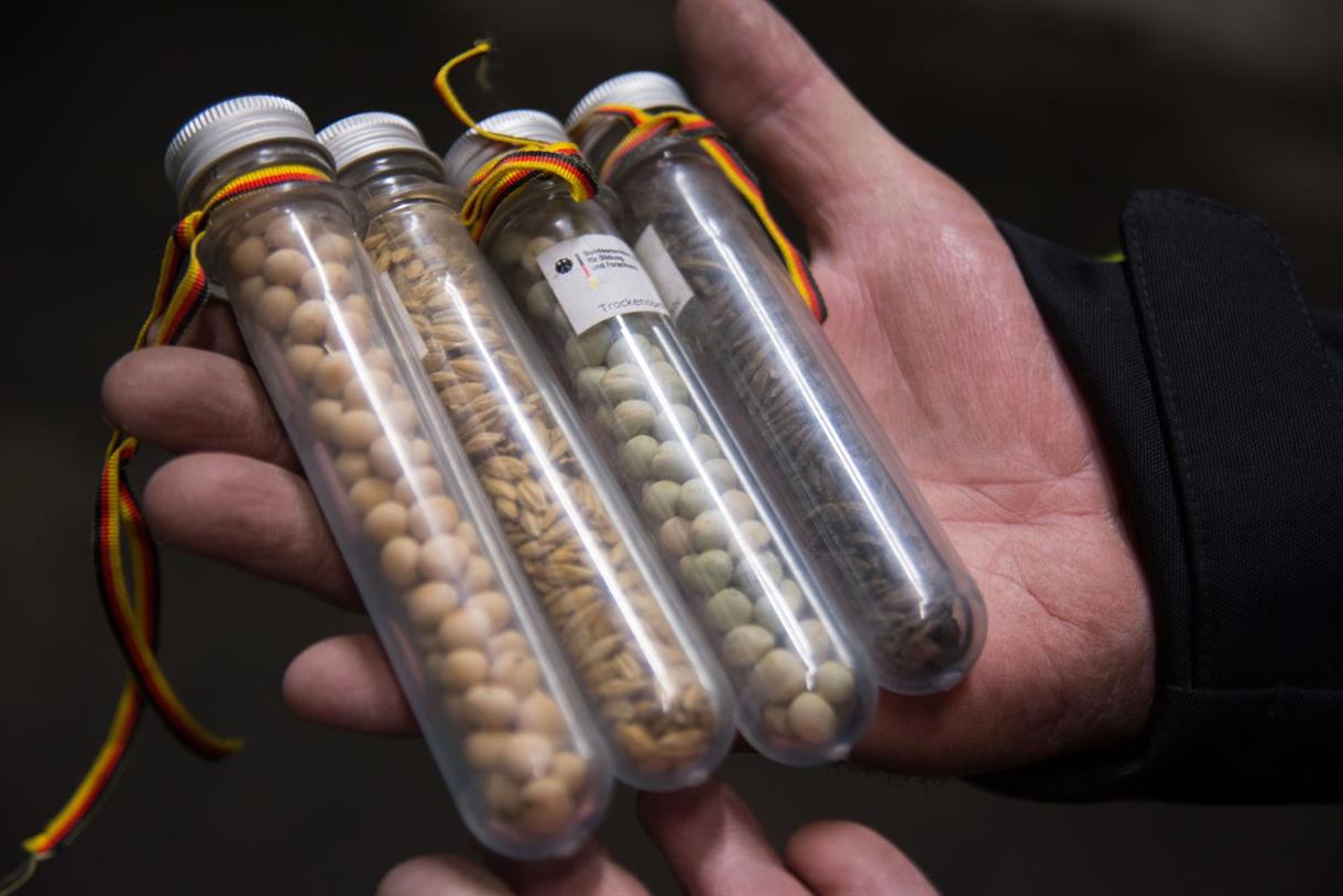 полярен кръг банка