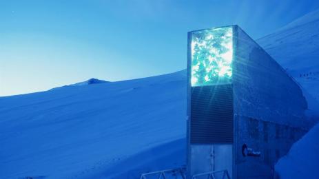 полярен кръг банка