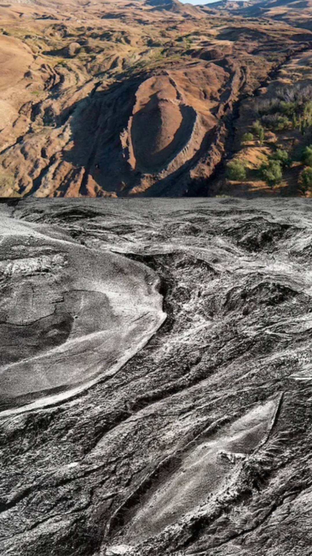 Ноев ковчег