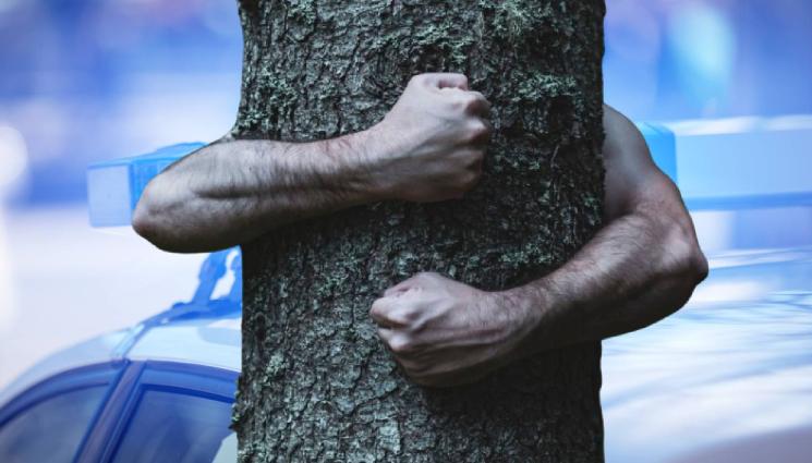 полиция дърво - СТРАШЕН ЦИРК: Пиян се вкопчи в дърво, побърка полицаи!