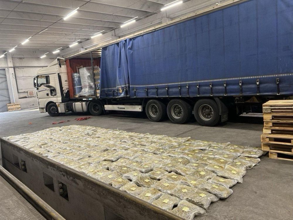 марихуана Кулата