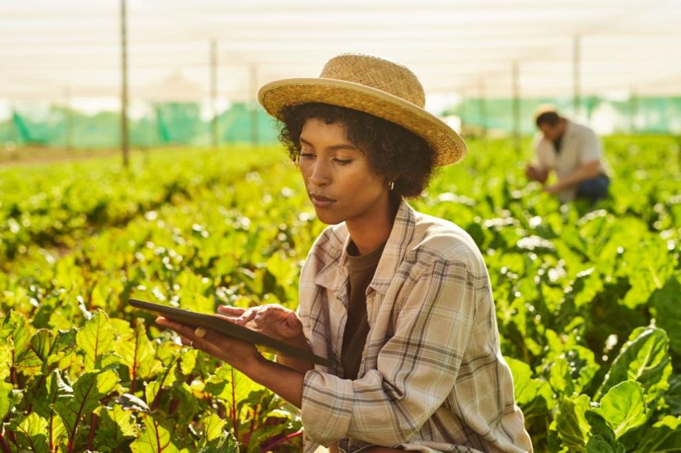 Дроновете се утвърждават като мощен инструмент за справяне с различни