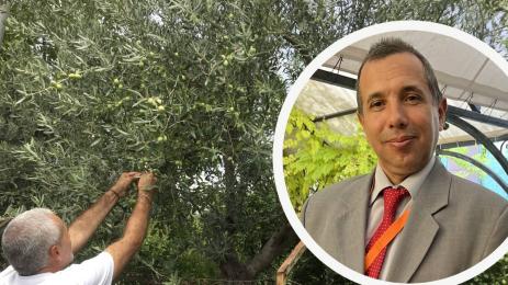 Божидар Иванов