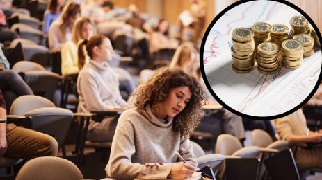 университет