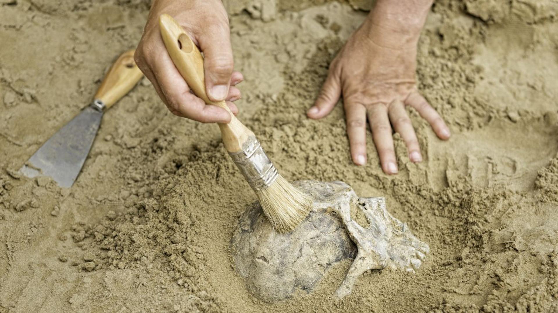 Археолозите обявиха откриването на първата царска гробница в Египет след