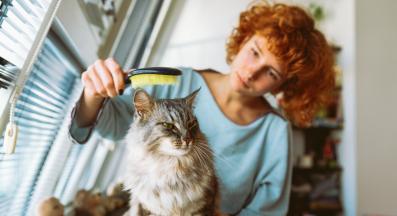 разресване на котка