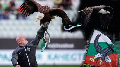 Виктор Бариос орел Фортуна Атлетик