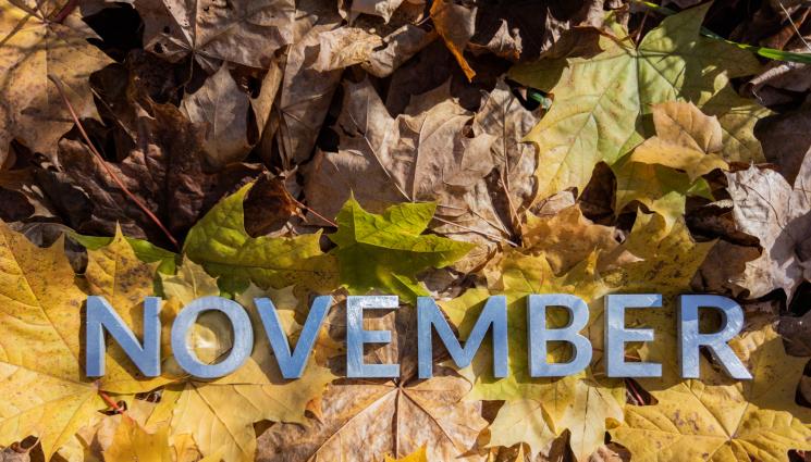 ноември - Писмо от Вселената променя съдби