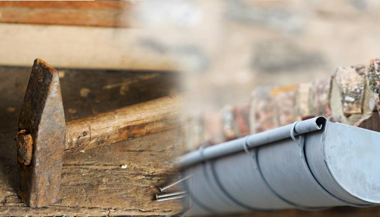 улук - НОВА ИЗМАМНА СХЕМА: „Майстори“, сменяли улуци за 40 бона!