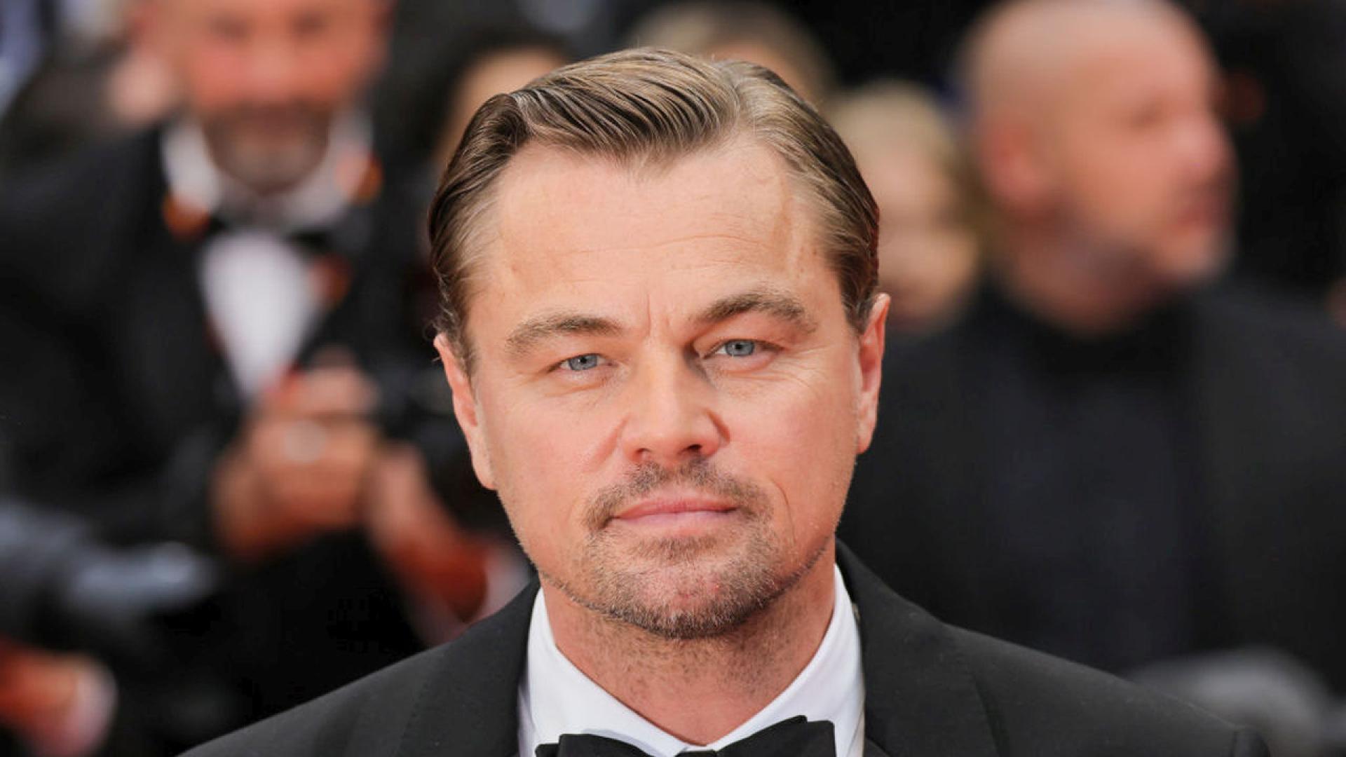 Нов вид жаба беше открит в Еквадор и беше наречен