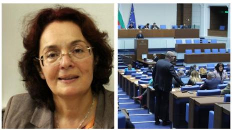 Политологът проф Румяна Коларова