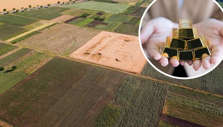 агро - Агро Телеграф: Кюлче злато за нива в Добрич, декар в Добруджа с 2000 лева нагоре