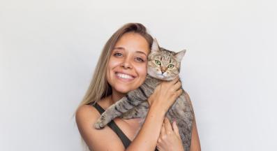 домашна котка