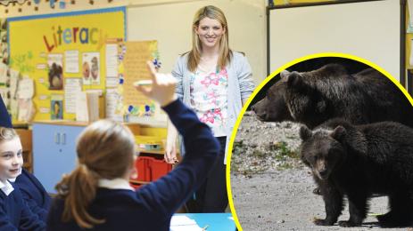 училище мечки