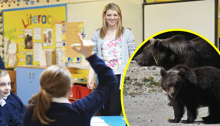 училище мечки - СТРАХ: Мечки блокираха училище! (СНИМКИ+ВИДЕО)