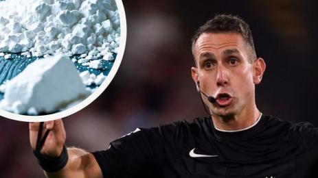 Дейвид Куут