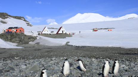 антарктида