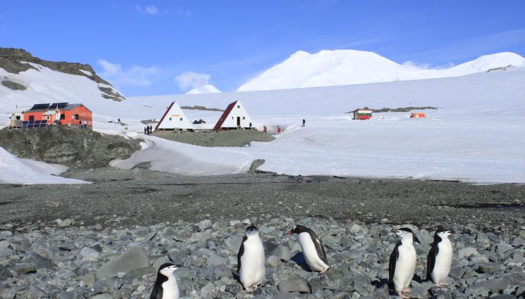 антарктида - ЛЕДЕНИЯТ КОНТИНЕНТ: БГ учени проучват слънчевите бури на Антарктида!