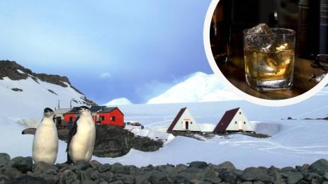 антарктида