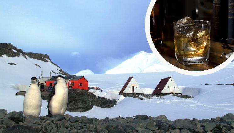 антарктида - НА АНТАРКТИДА: Пият уиски с лед от времето на Шекспир!