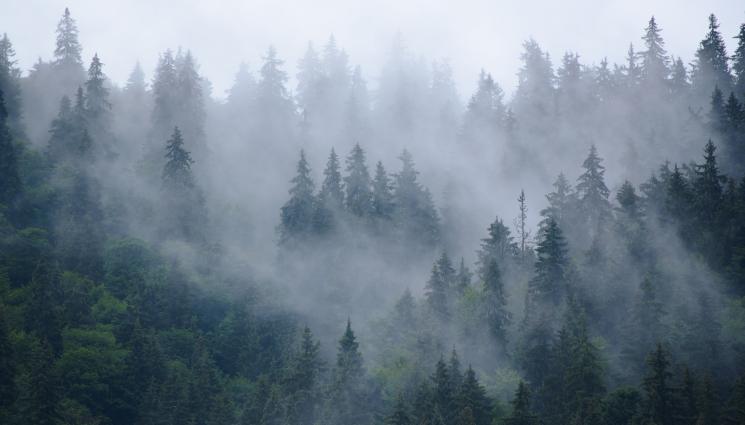 гора планина мъгла