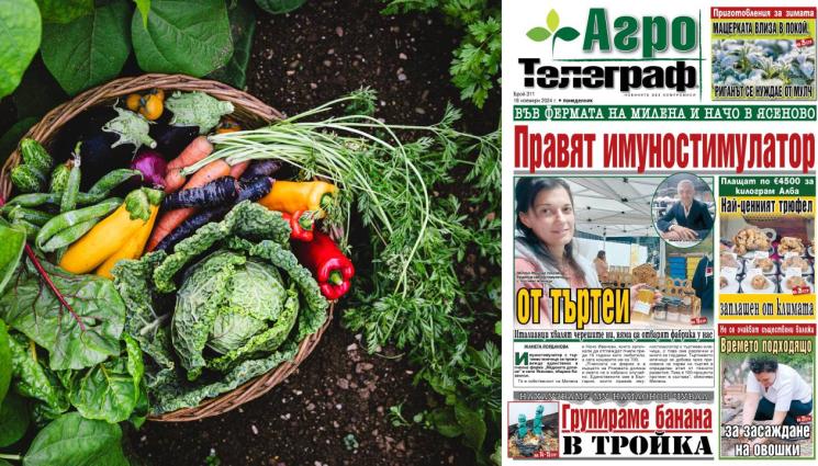 dd - Ето какво ще откриете в новия брой на приложението