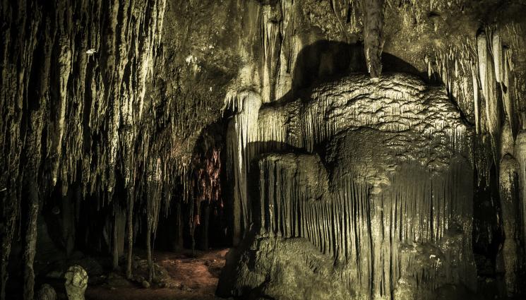 пещера - Затвориха наша пещера, само 5000 души успяха да я посетят