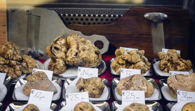 трюфели - Агро Телеграф: Най-ценният трюфел заплашен от климата