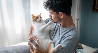 котка и стопанин