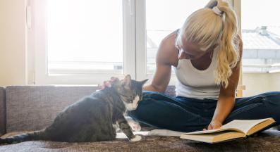 котка и жена