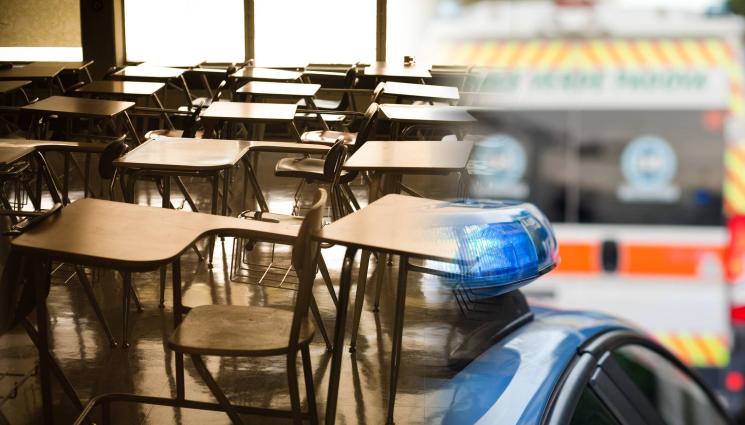 училище полиция линейка - СЪСЕДИТЕ ТРЕПЕРЯТ! Заплахи за нападения в училища заляха Румъния