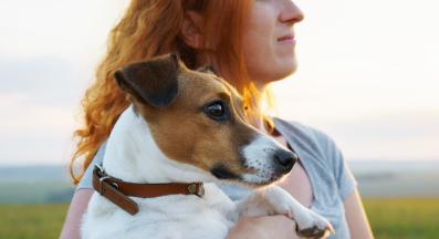 куче човек обич