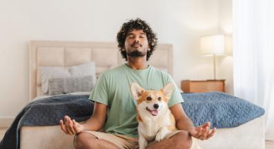 куче човек обич