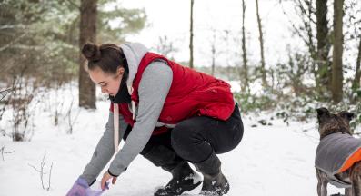 куче изпражнения