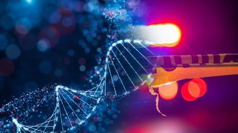 днк полиция