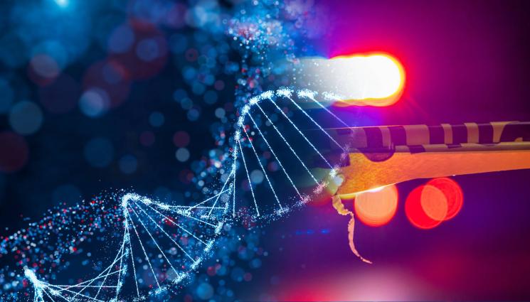 днк полиция - СЛЕД 14 ГОДИНИ: Разкриха убиеца на камериерката Роза Мачокова!