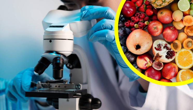 учени - УДИВИТЕЛНО: Учени откриха кой е чудотворният плод!