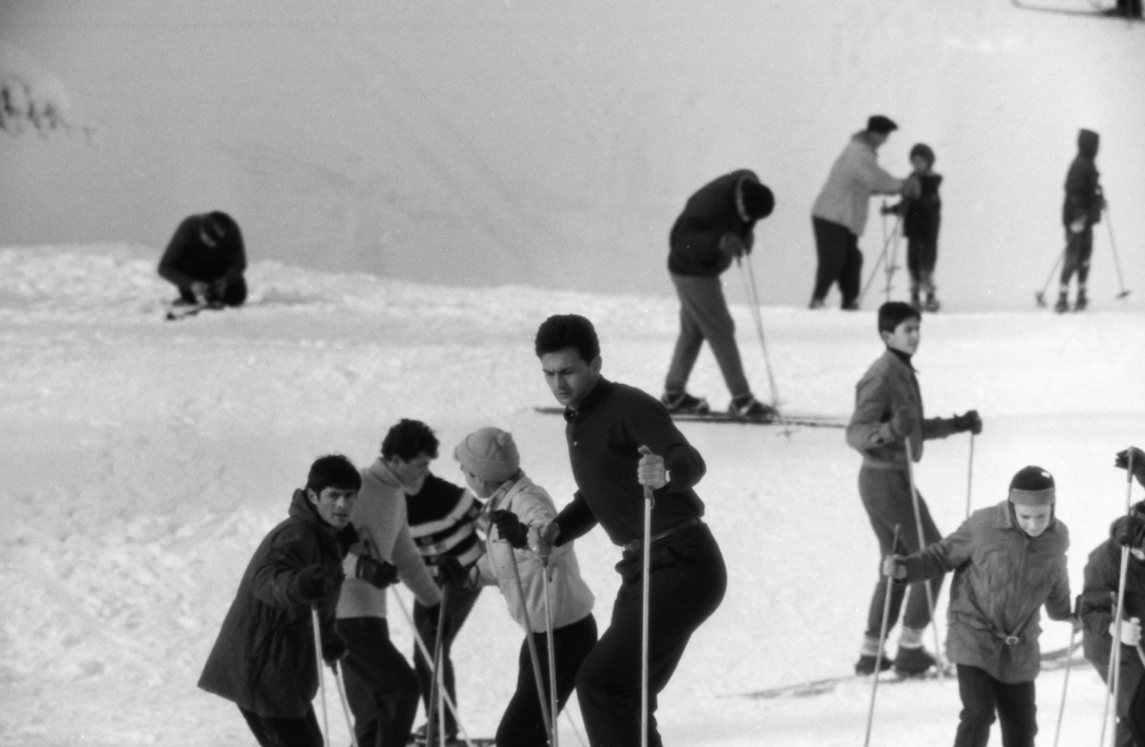 диамантения гунди