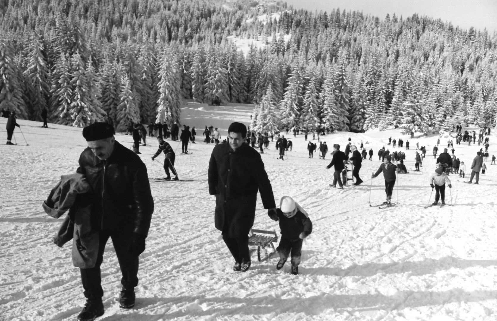 диамантения гунди