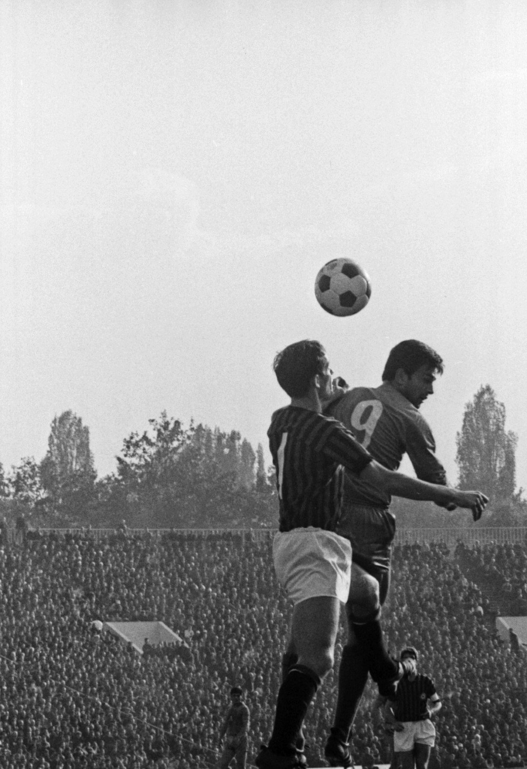 диамантения гунди