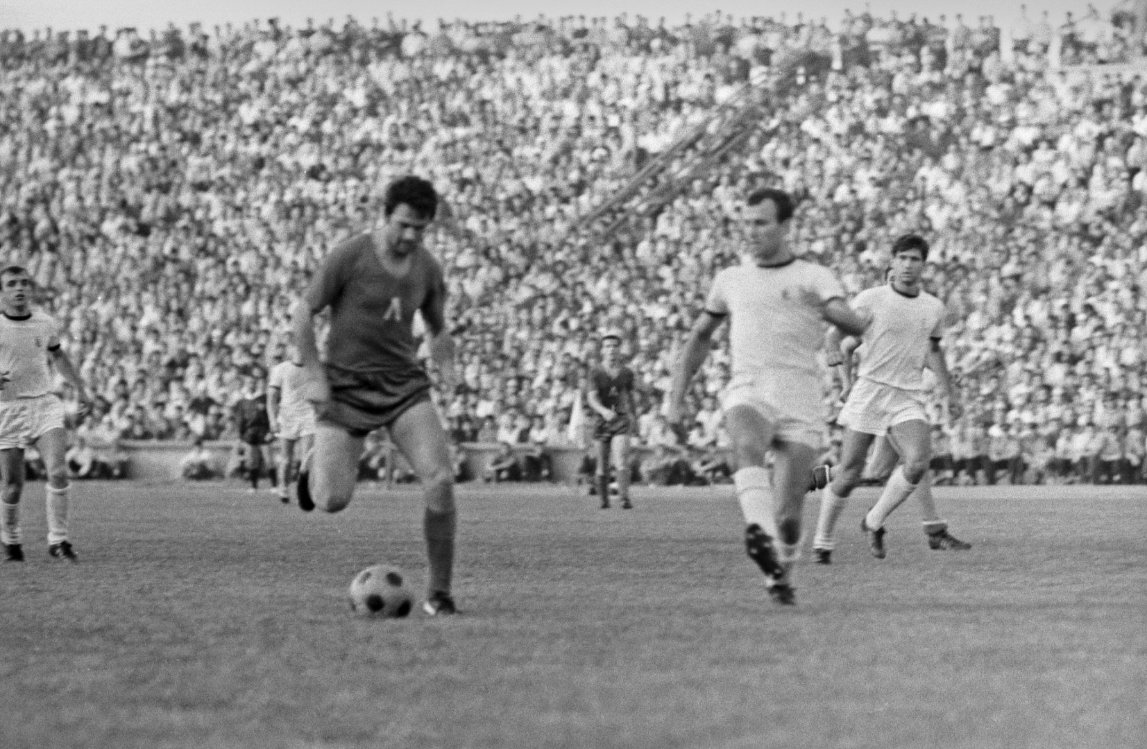 диамантения гунди