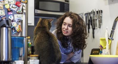 домашна котка