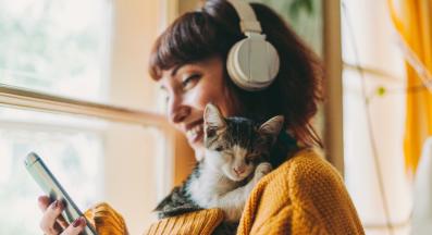 домашна котка