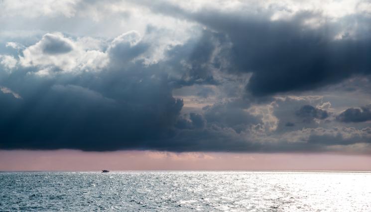 черно море - УЖАС: Най-смъртоносното същество, което убива мигновено! (СНИМКА)