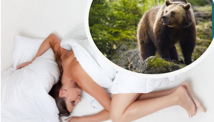 сън мечка - Кабалистът Ели Маринова в навечерието на Мечкинден: Сън с мечка вещае болест или богатство