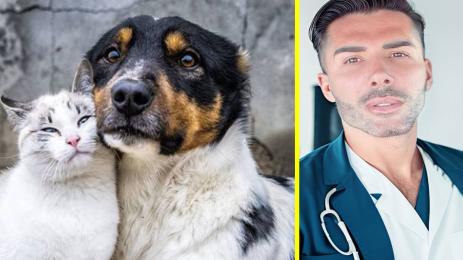 куче и котка