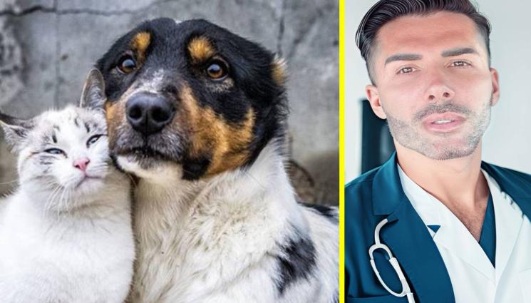 куче и котка - Куче и котка под един покрив