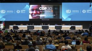 COP29