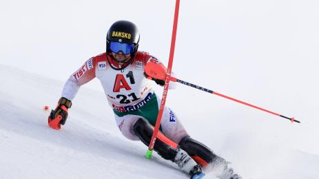 Алберт Попов Гургъл